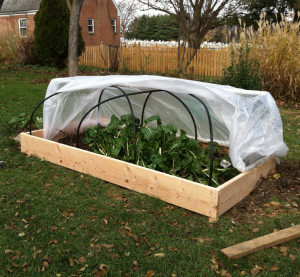 my finished cold frame